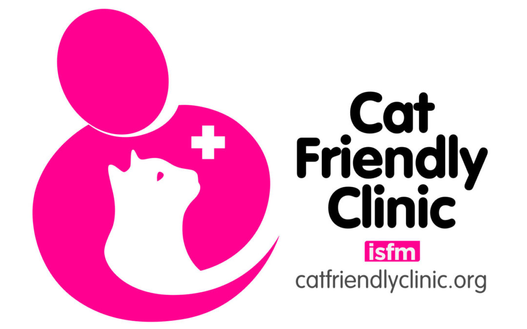 Devenir Cat Friendly ?! Pourquoi, Comment ?