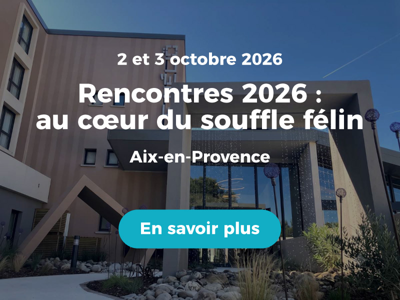 rencontres-2026-popup-800